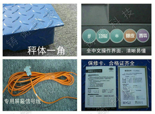 ���������ƽ�_��