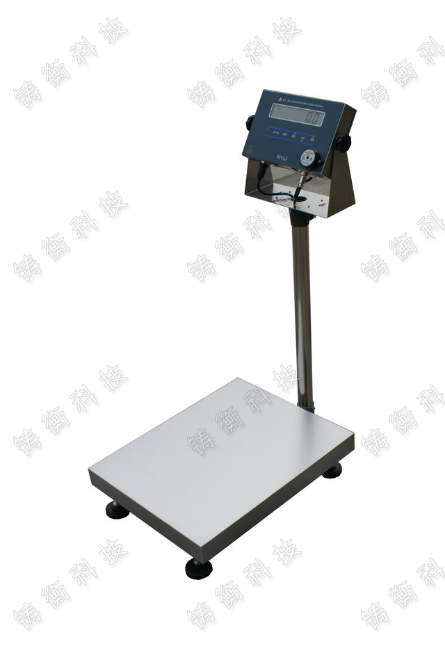 ��������_�Q